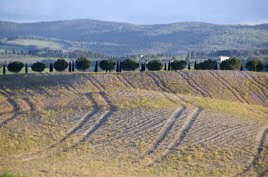 Agriturismo Poggio Bonelli Castelnuovo Berardenga Zewnętrze zdjęcie