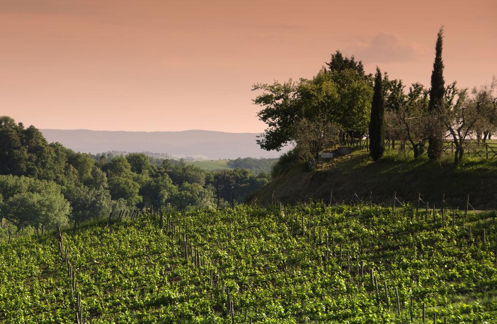 Agriturismo Poggio Bonelli Castelnuovo Berardenga Zewnętrze zdjęcie