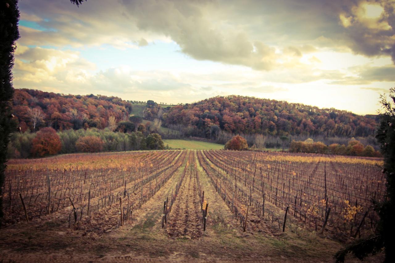 Agriturismo Poggio Bonelli Castelnuovo Berardenga Zewnętrze zdjęcie