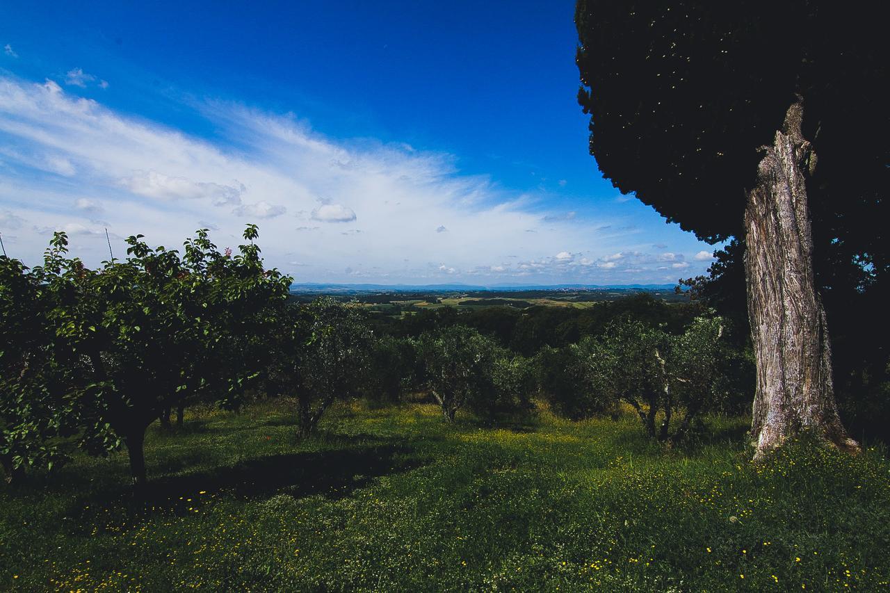 Agriturismo Poggio Bonelli Castelnuovo Berardenga Zewnętrze zdjęcie